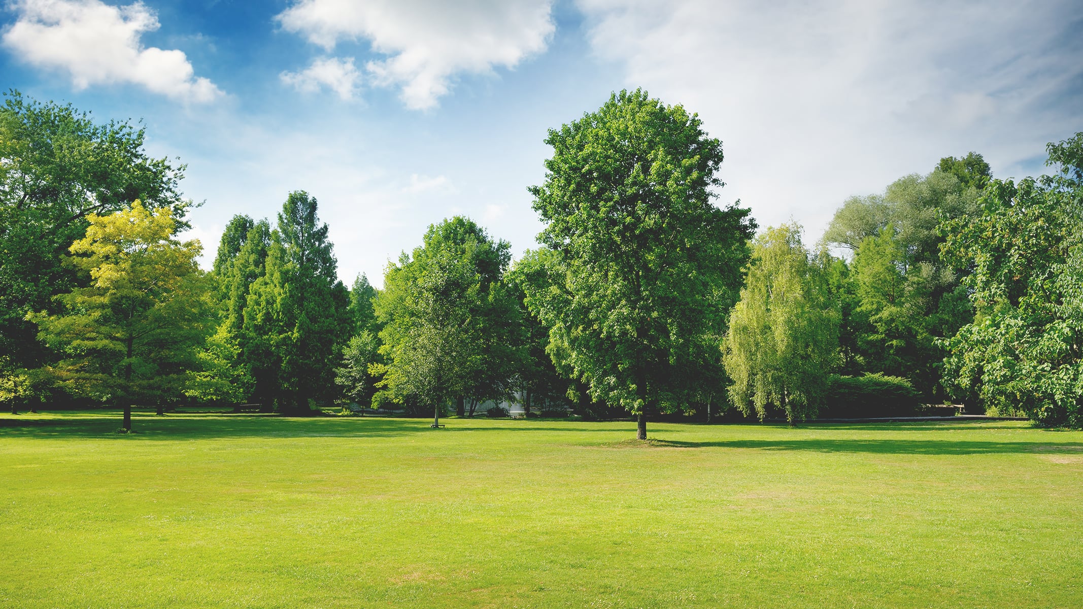 A green park lawn and mature green trees against a cloudy blue sky