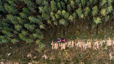 Overhead view of a forest and wood being harvested