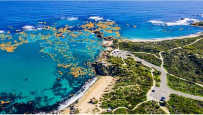 Bright blue water with virtual orange highlights off the coast of a grassy peninsula